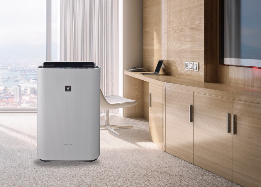 Diverse Product Recommendations to Meet Your Needs